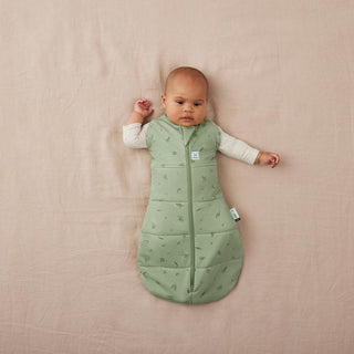 ERGOPOUCH COCOON SWADDLE BAG 2.5 TOG