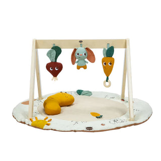 TINY LOVE GARDEN OF ADVENTURES LUXE DEVELOPMENTAL GYMINI